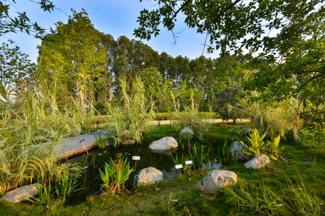 广汽丰田生态园·工业绿色风景线丨普邦设计-34