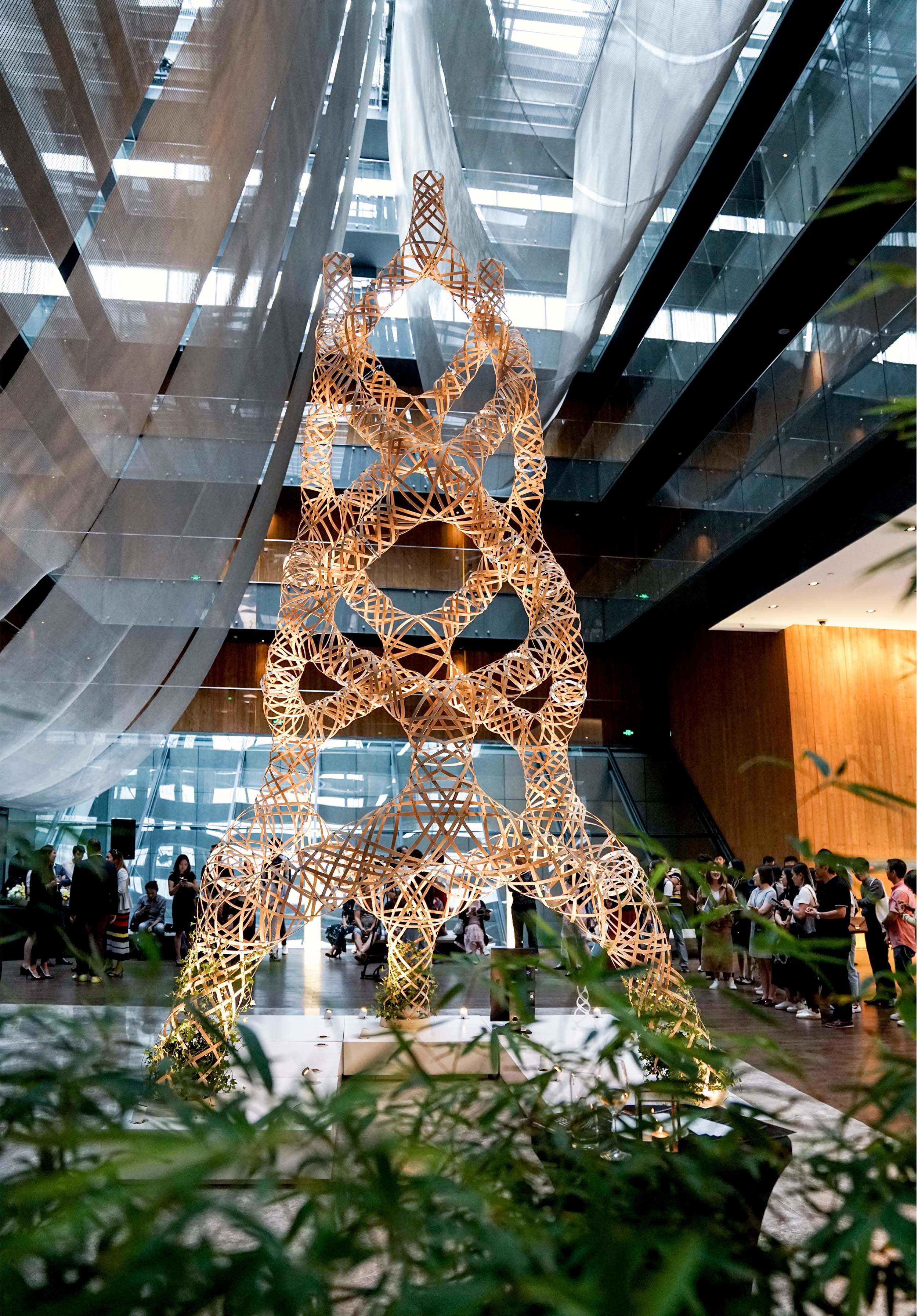 《编织丛林》 | 竹材的形态探索-7