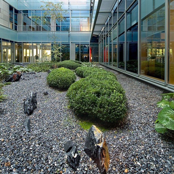 Madrid 办公大楼庭院花园 · 有机自然主义的设计实践-6