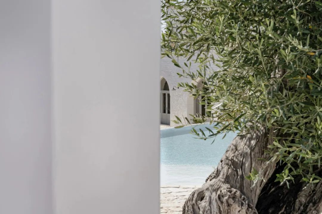 马萨里亚圣菲洛梅纳度假屋丨意大利丨Flore  venezia architects-8