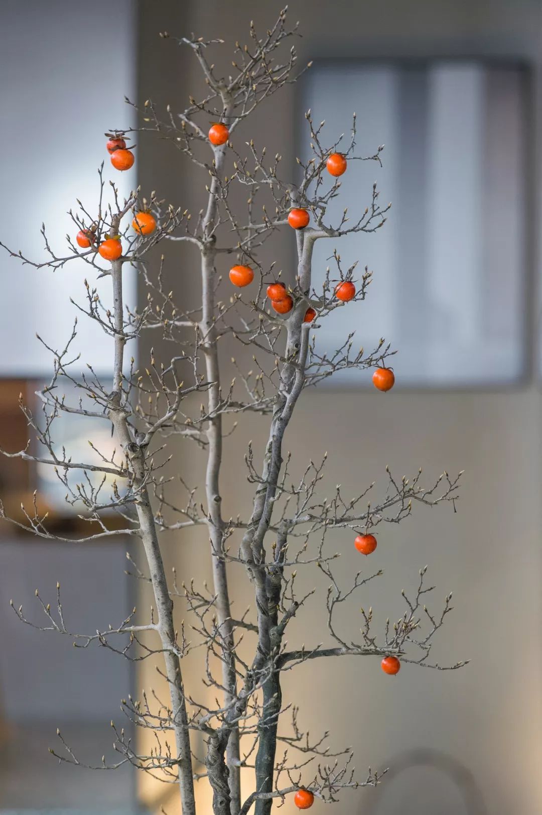 上海廷泰茶空间  Alex Mok   Briar Hickling-42