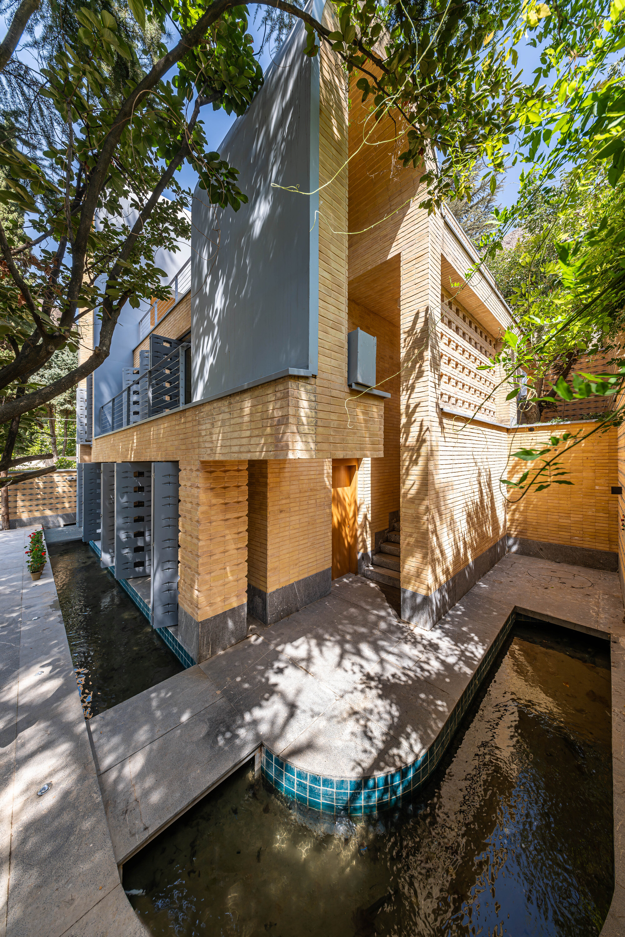 A House Looking to A Cedrus Tree / Cedrus Studio-42