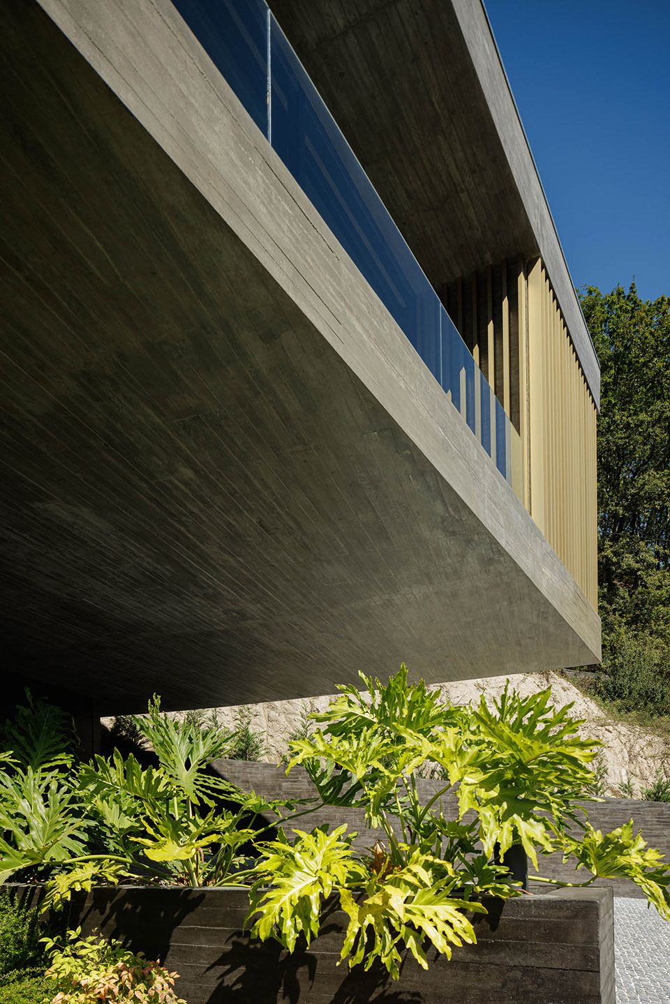 BOURO 住宅丨葡萄牙丨MUTANT ARQUITECTURA & DESIGN-58