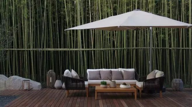 园林景观植物绿化设计方法解析-84