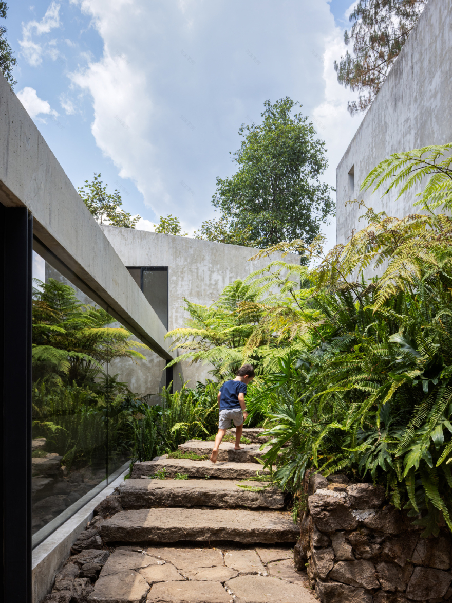 阿万达罗的房子丨墨西哥-39