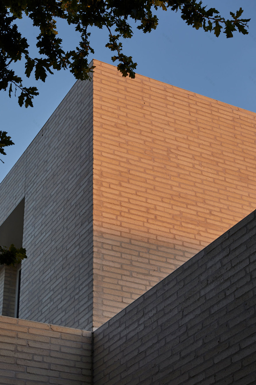 马尔文东屋丨澳大利亚墨尔本丨Studio Esteta-29