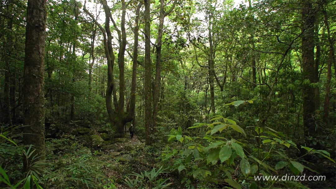 唯木空间丨中国东莞丨TD 知行空间设计-1