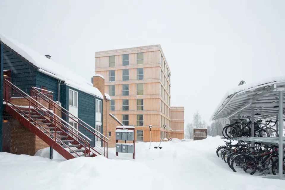 Kallerud学生公寓：模块化木结构住宅-3