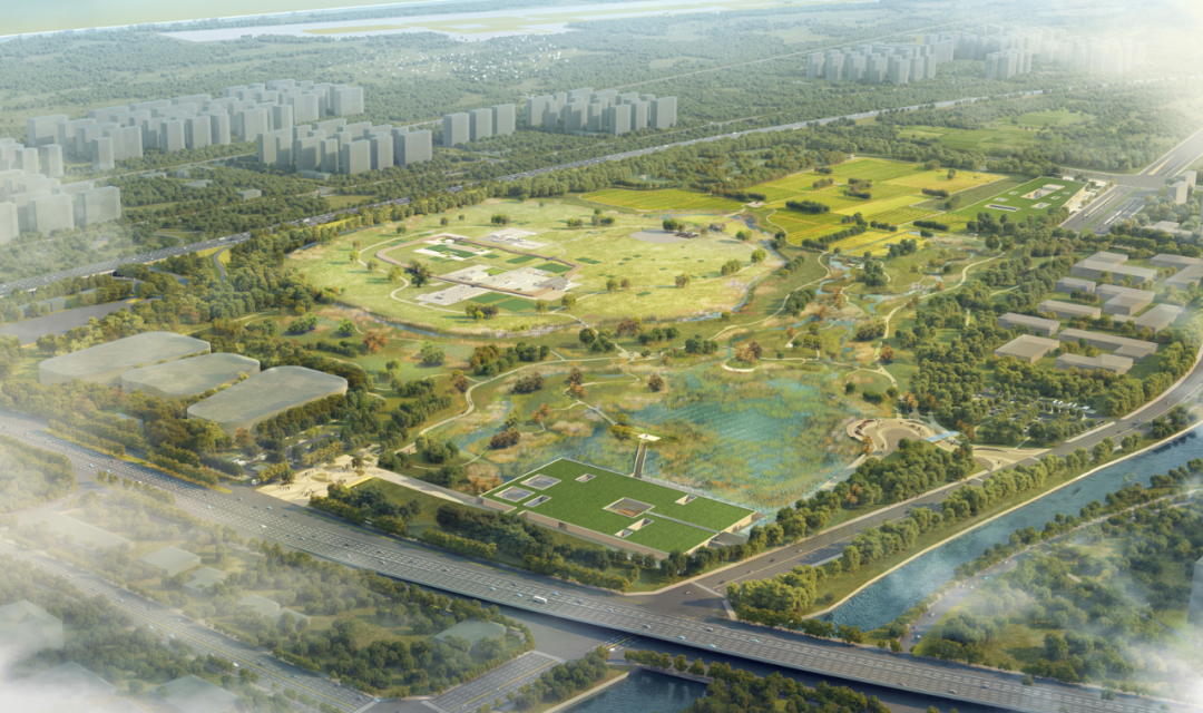 文化和自然遗产日|大河村遗址博物馆新馆开馆试运行-9