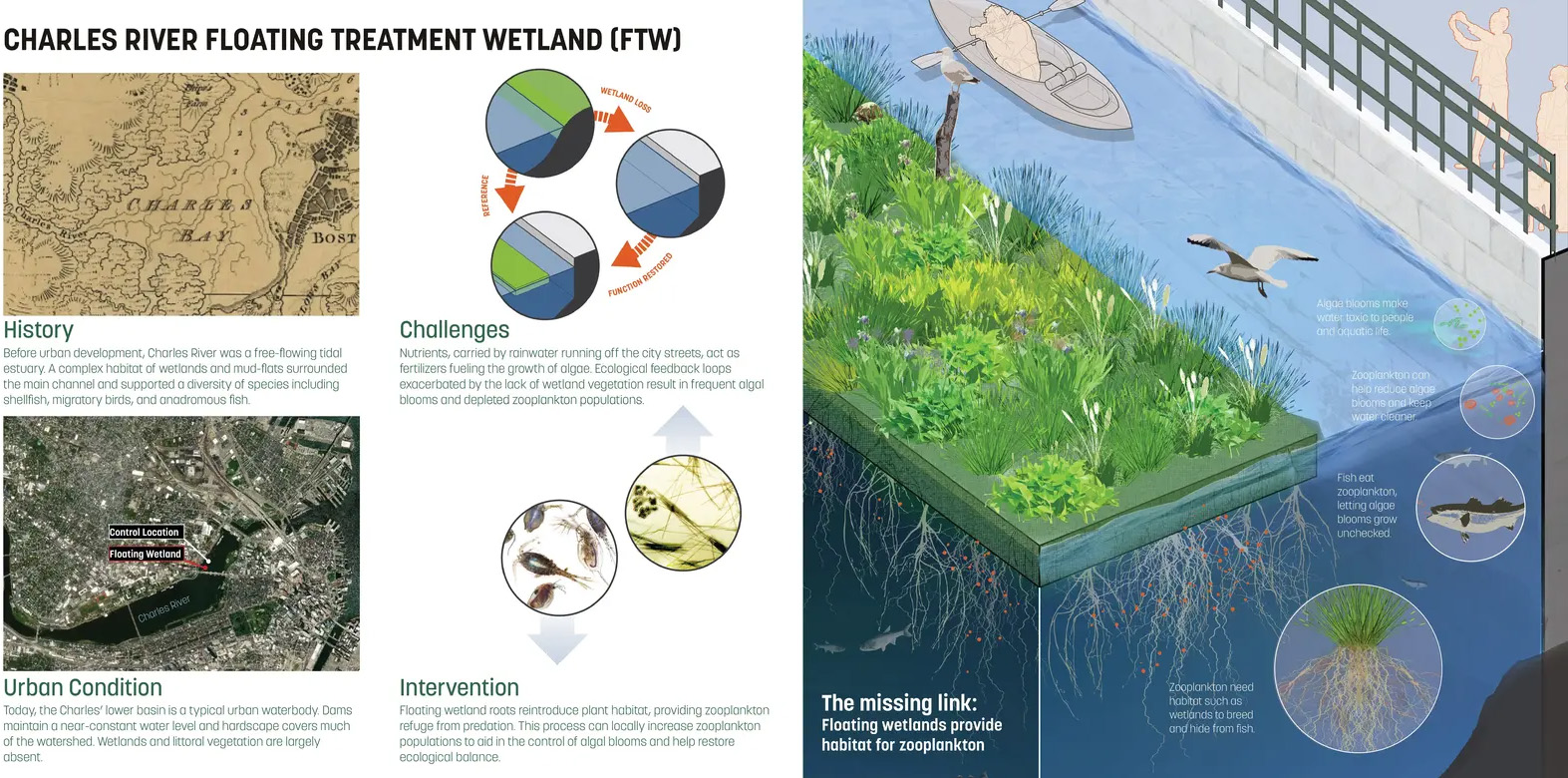 查尔斯河浮动湿地试点项目丨美国波士顿丨Sasaki Associates,Inc.等-5