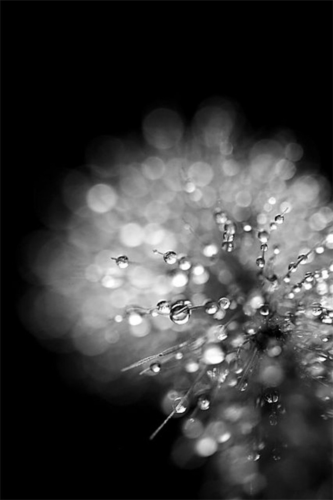 臻藏宁波金辉·宁波城央云府体验馆丨北京德方圆文化创意有限公司-8