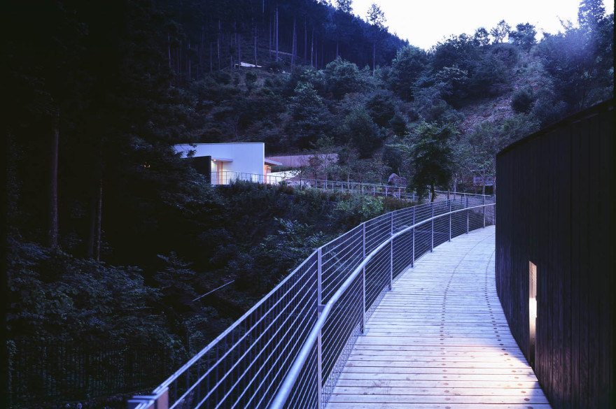 奥多摩森林疗法之路丨日本东京-6