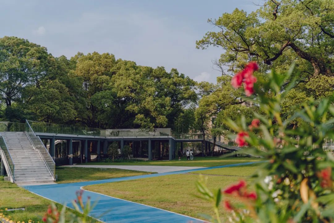 大溪滩香樟露营基地 | 中国美院风景建筑设计研究总院 | 中国浙江衢州-31