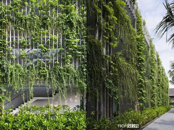 去了越南,这家绿植酒店一定不能错过-24