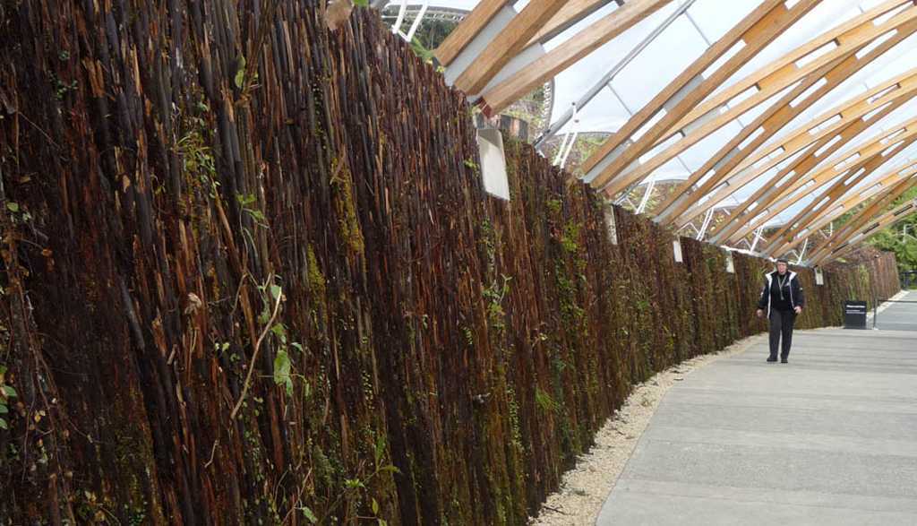 怀托摩洞游客中心丨新西兰丨Wraight + Associates-29