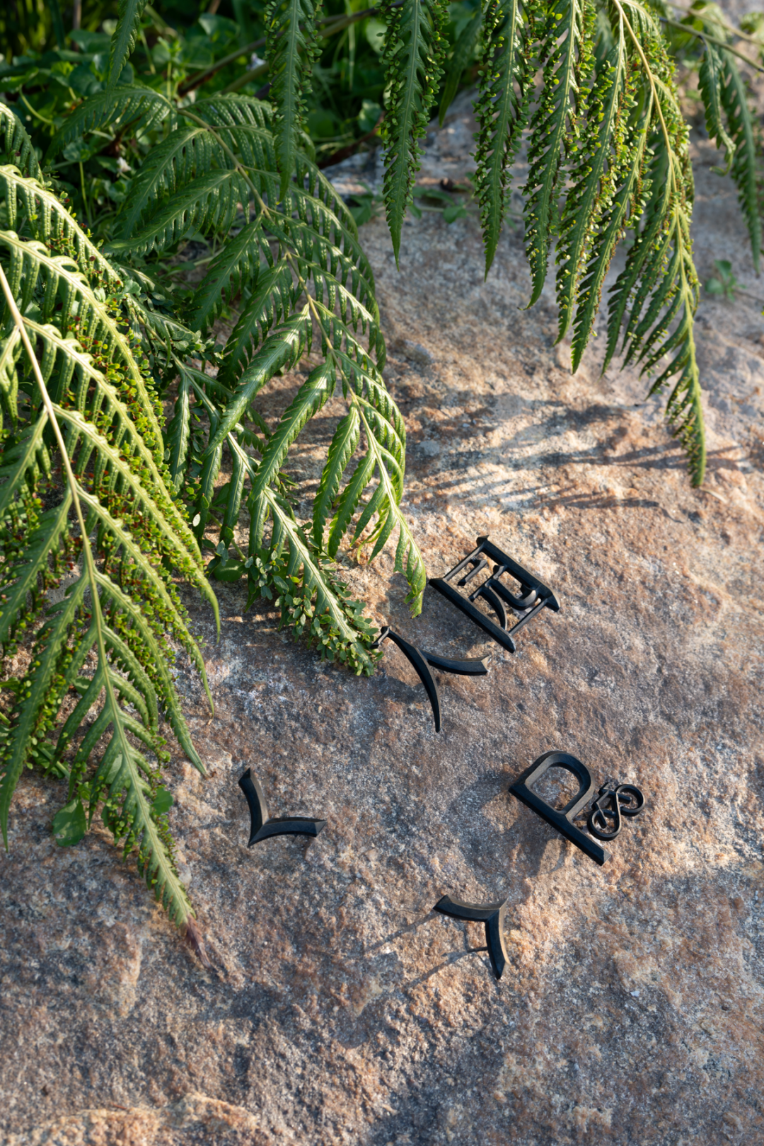 招商蛇口·和园 | 一藤一蔓织岁月 一石一木归自然丨中国南通丨柏熙标识-18