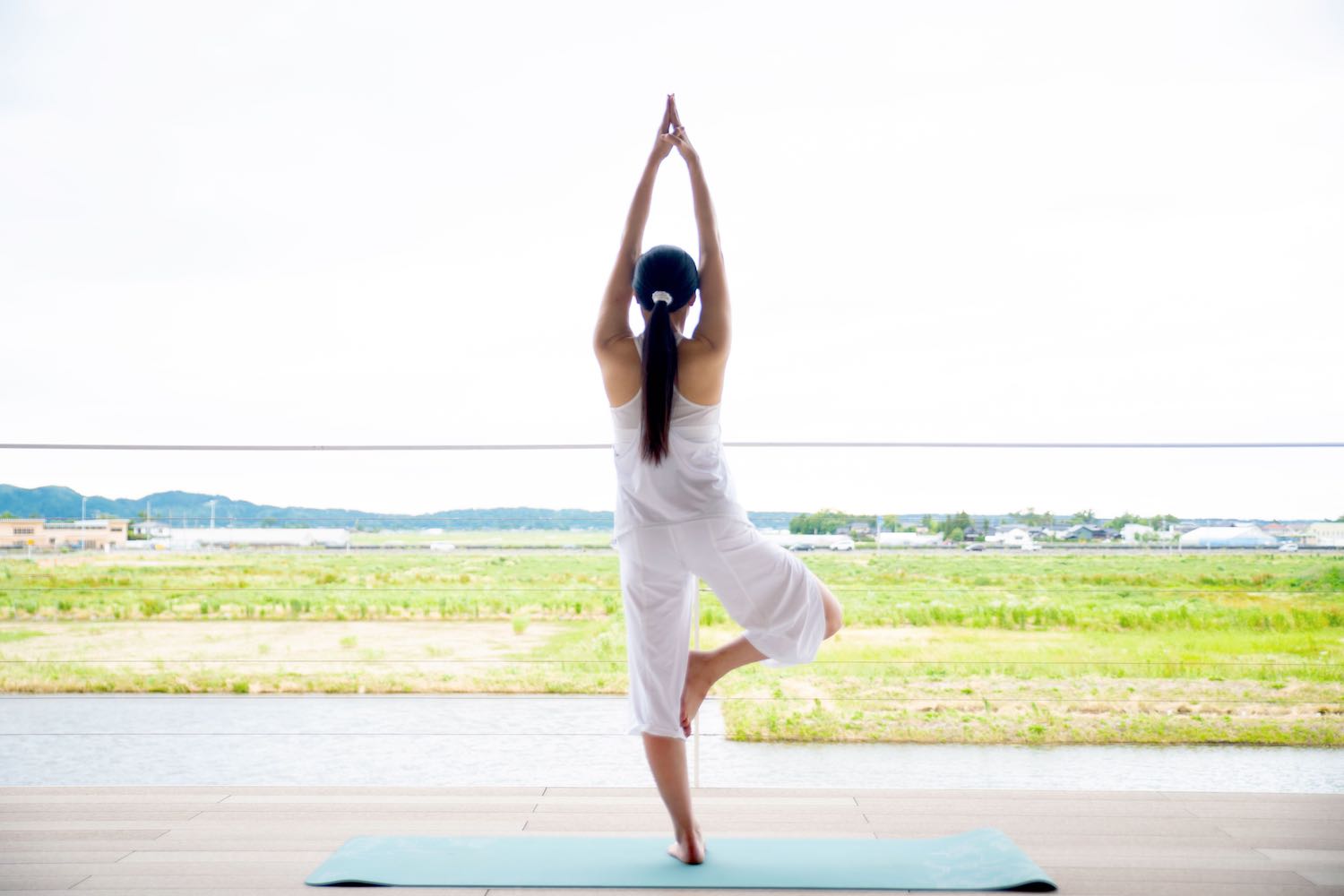 SHONAI HOTEL SUIDEN TERRASSE酒店及桑拿设施丨中国北京丨坂茂-35