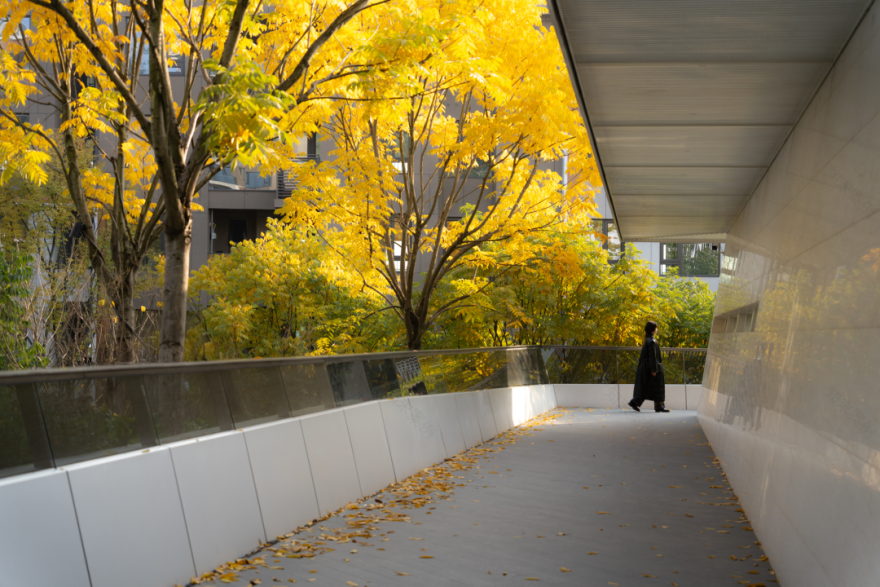 重庆麓悦江城碧影溪丨中国重庆丨WTD纬图设计等多家(含建筑,雕塑等设计方)-22