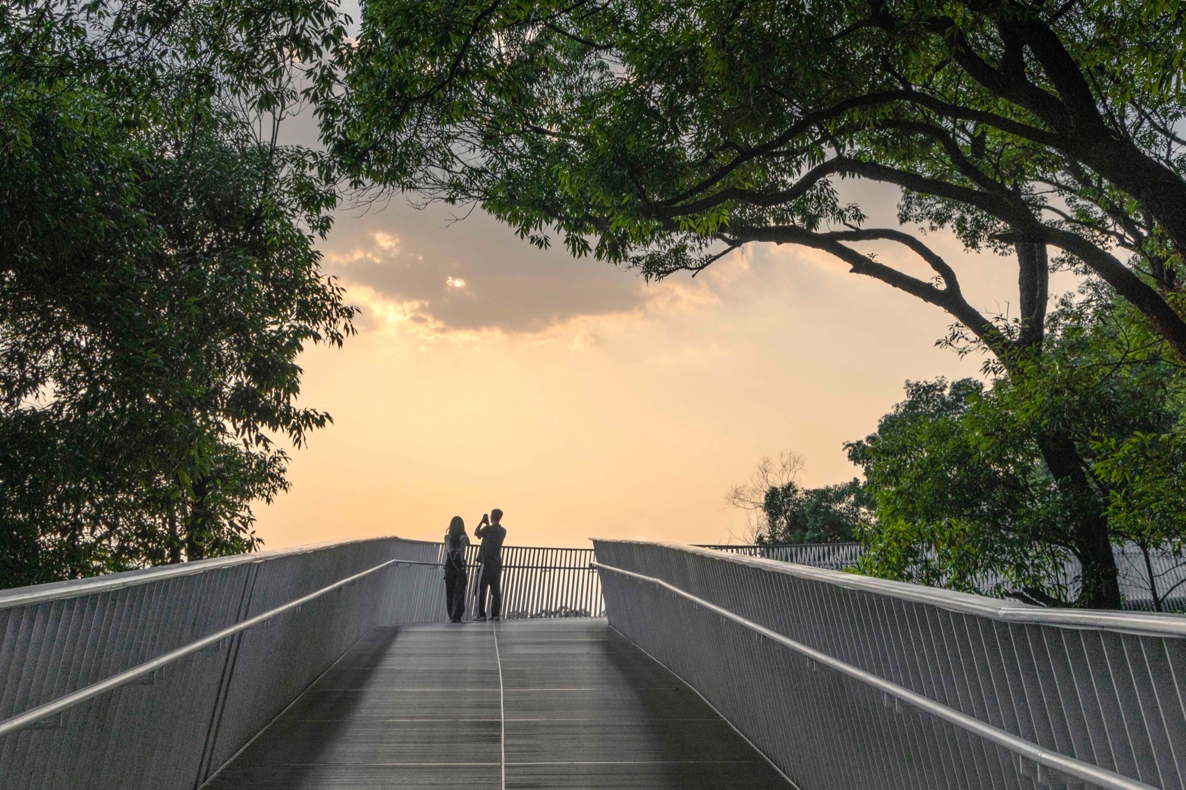 广州白云山摩星岭观光扶梯及栈道丨中国广州丨华南理工大学建筑设计研究院等-67