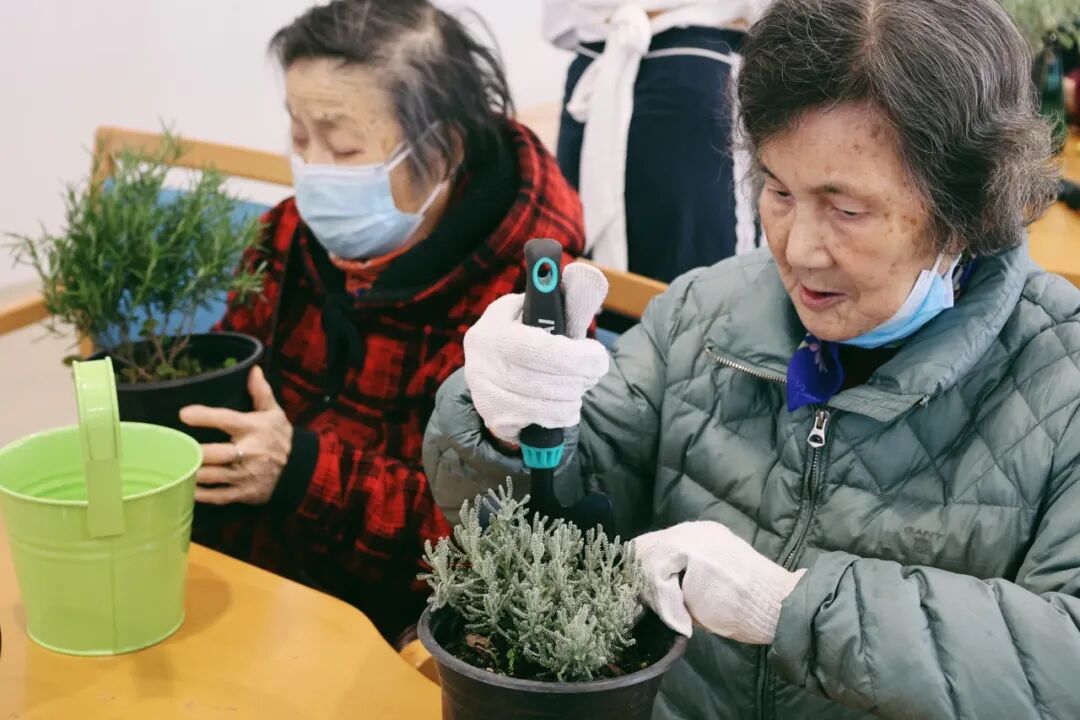 用植物疗愈时光，以设计重塑银龄价值｜春日系列工作坊回顾-69