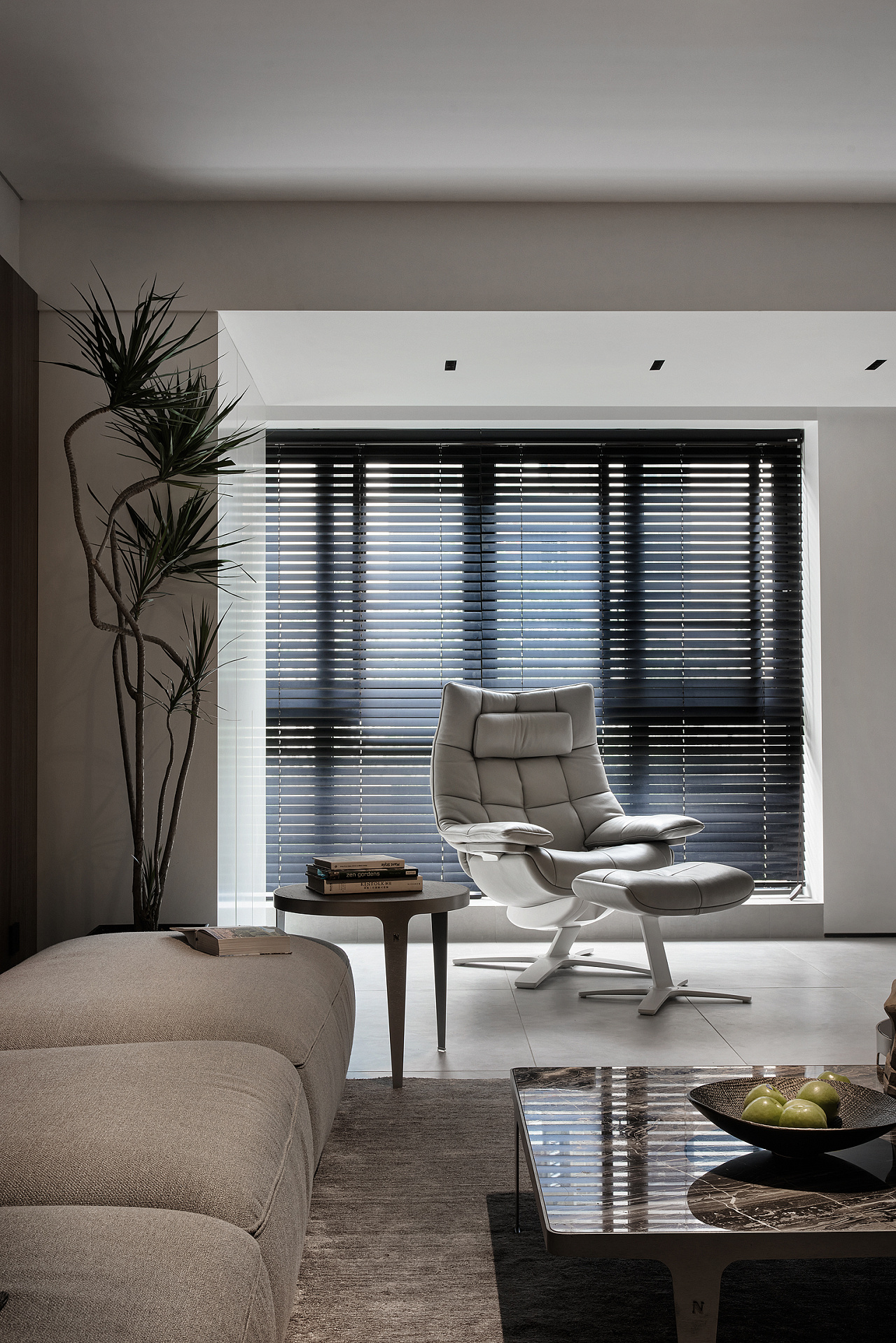 Mr来设计 | 棕榈-7