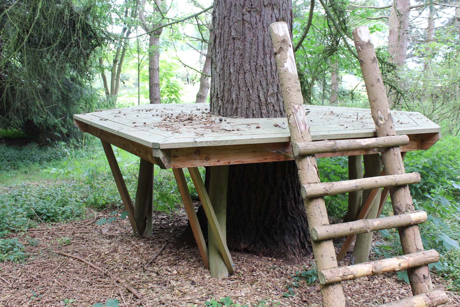 丨丹麦丨哥本哈根大学地理科学与自然管理系景观建筑与规划组研究团队-56