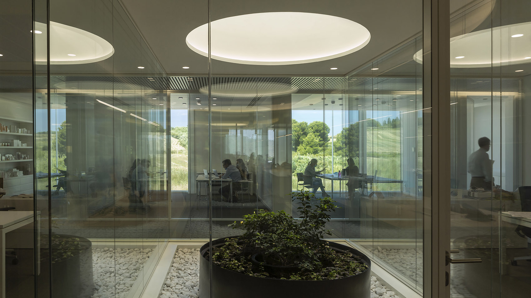 西班牙 Natura Bissé 新总部大楼丨西班牙巴塞罗那丨TDB Arquitectura-24