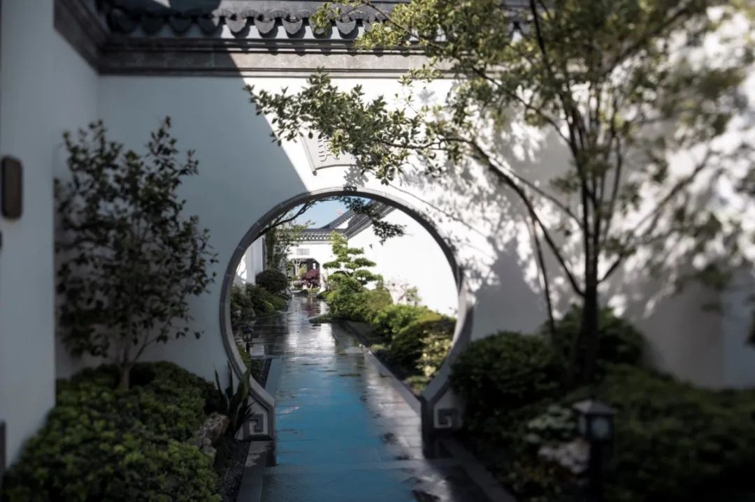 绍兴花语堂丨中国绍兴丨浙江东南建筑设计院,苏州园林设计院,矩阵纵横,矩阵鸣翠-211