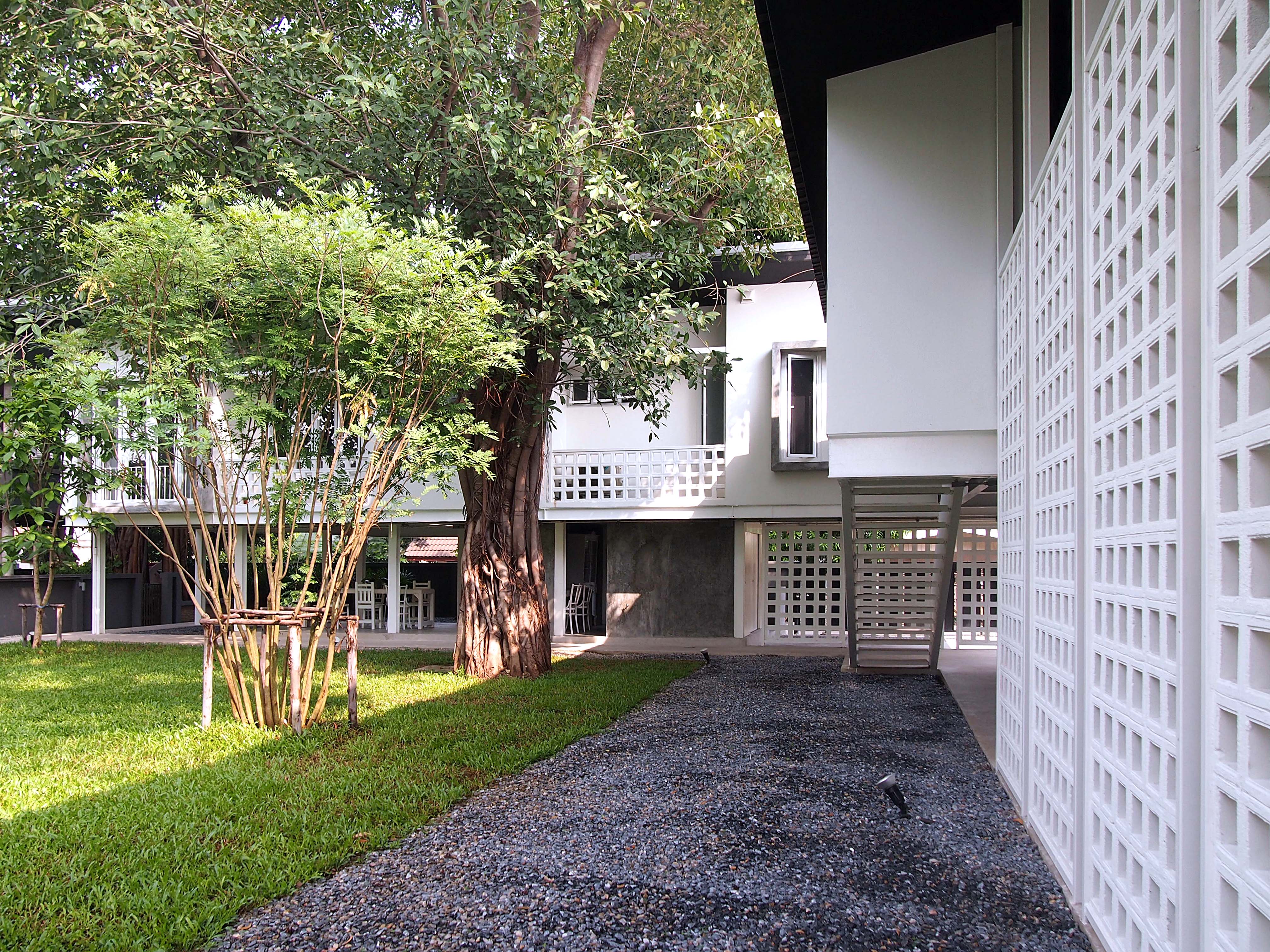 丨อาจารย์ต้นข้าว ปาณินท์（教师稻谷·潘尼）-2