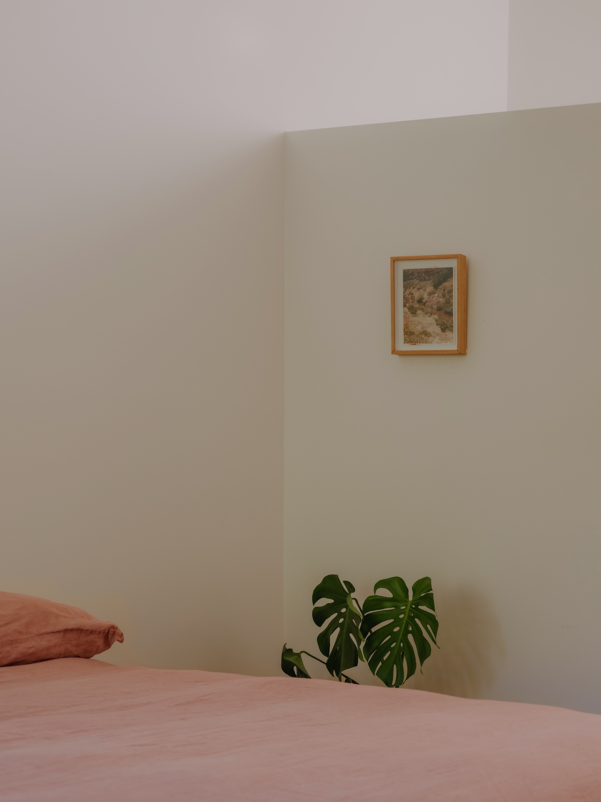 丨澳大利亚丨Dan Wilson,Henry Bennett-40