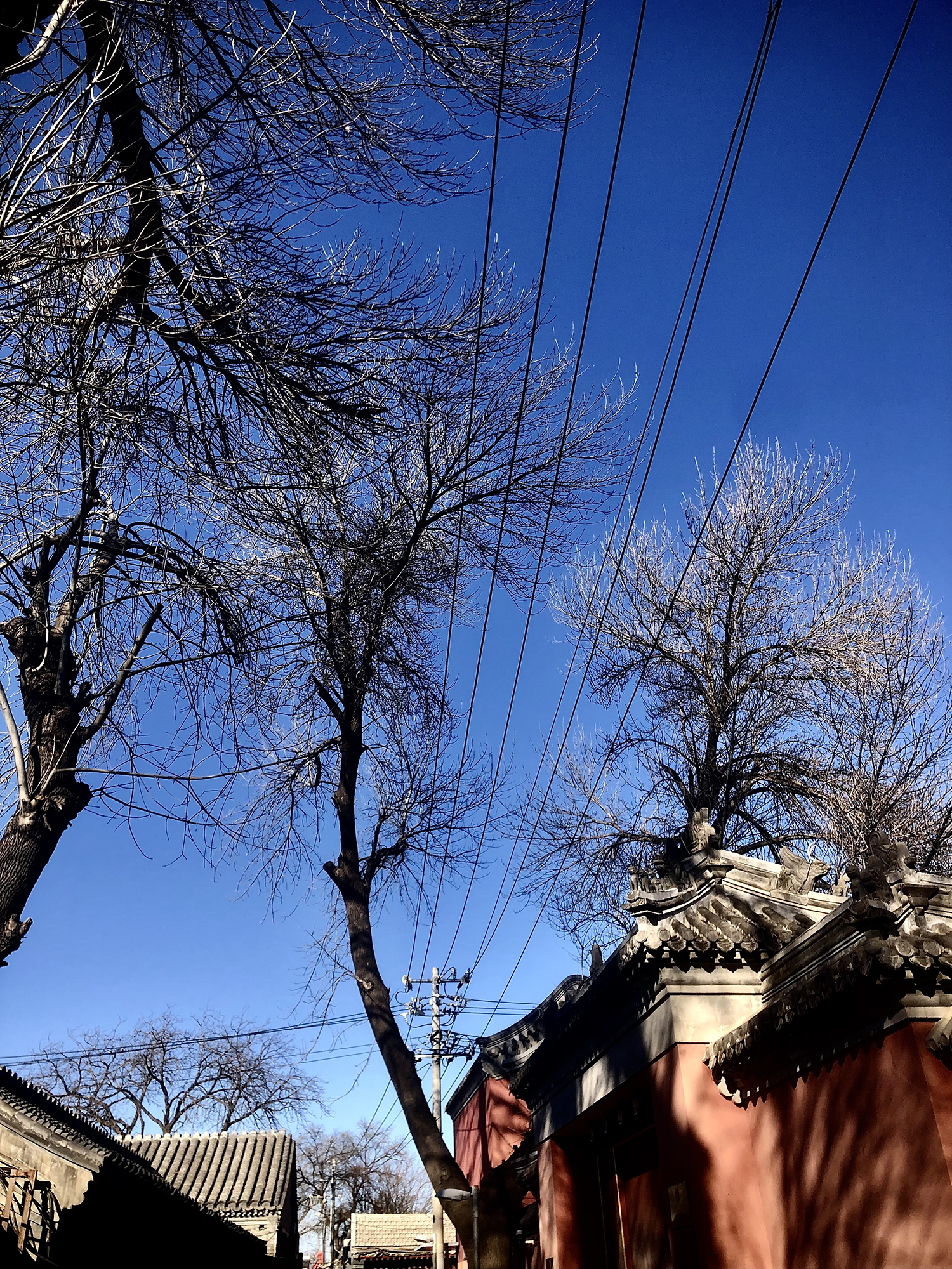 北京隆福寺诺岸酒店丨中国北京丨宽品设计-9