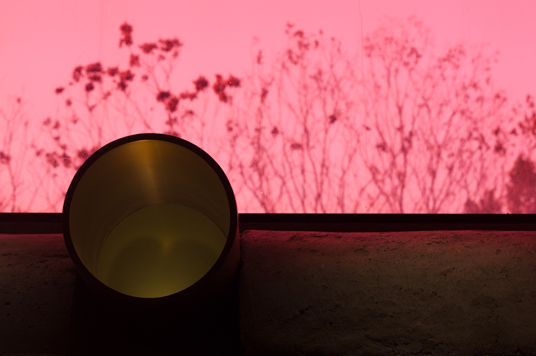 NEOBIO 奈尔宝丨中国上海丨皮爱纪设计 PIG DESIGN-182