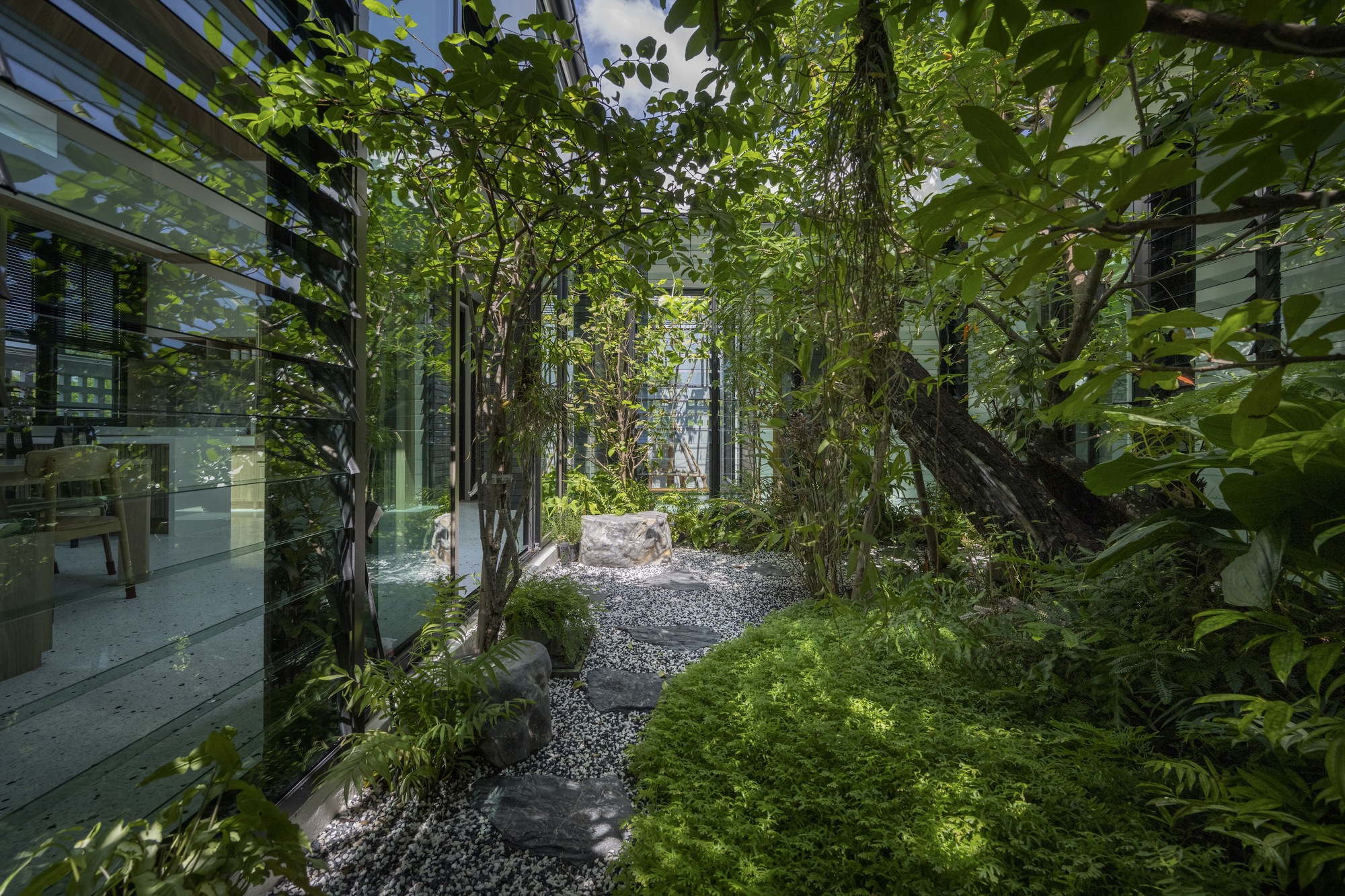 树的房子丨泰国曼谷丨Studio Bewell-19