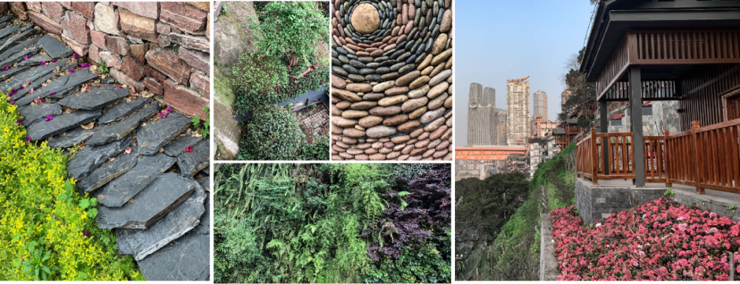 戴家巷崖壁公园丨中国重庆-45