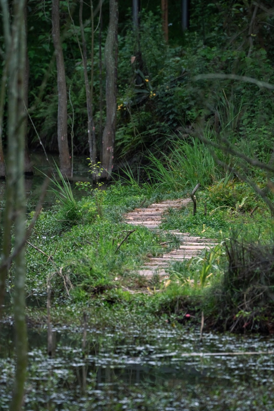 麓野公园丨中国成都丨四川乐道景观设计有限公司-95