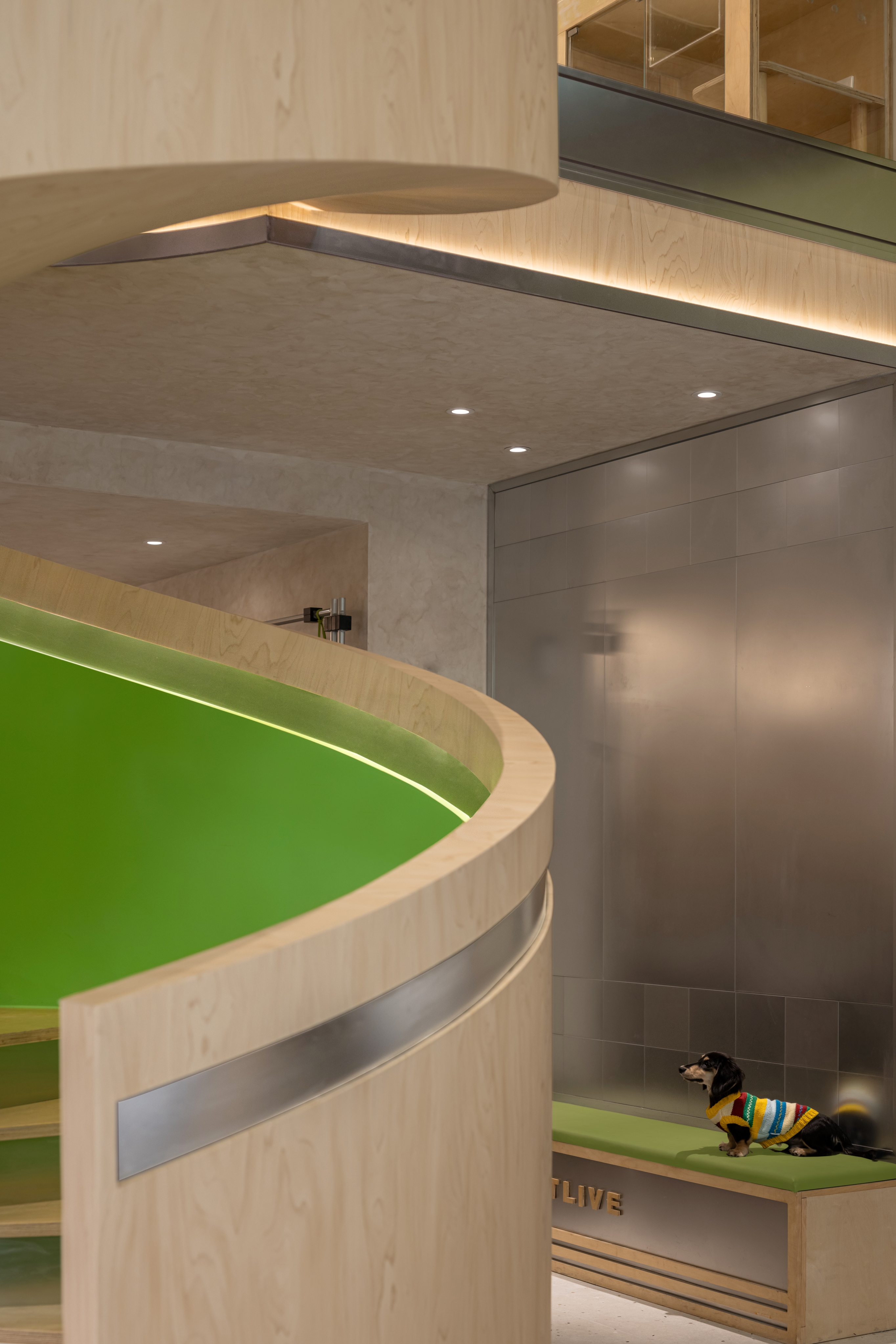 捋毛 Pet Live Center丨中国成都丨E27 Studio-14