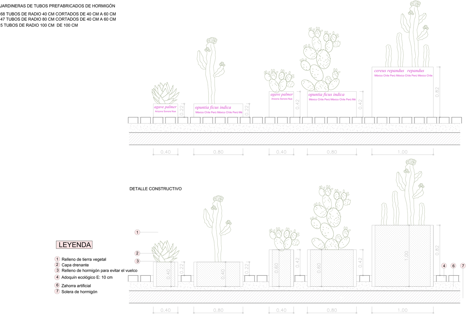 废弃停车场变身为城市绿洲 · Murcia Succulents 博物馆-29