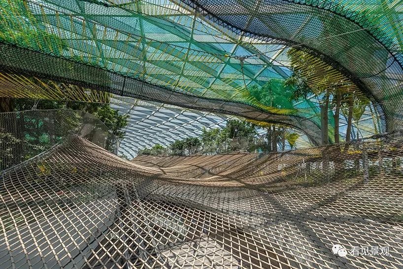 星耀樟宜 | 雨漩涡与绿意交织的机场奇迹-77