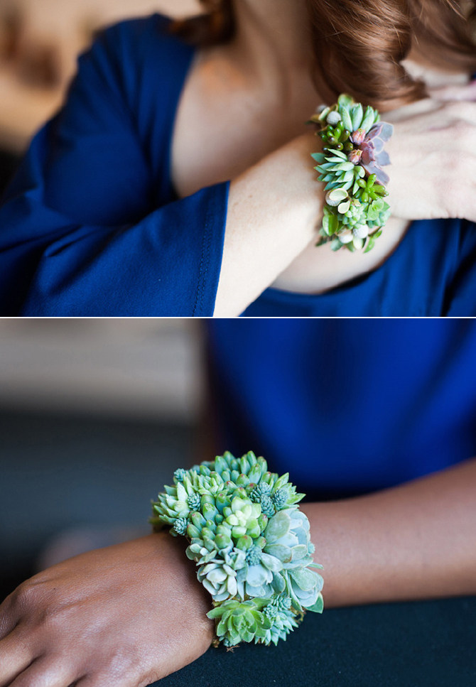 多肉植物的室内设计魅力-17