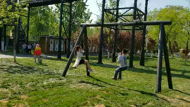 黑森林 | 儿童乐园的黑色艺术-41