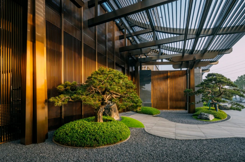 金沙操盘 | 成功经验：从河南火到全国各地（实地考察+主题演讲）-11