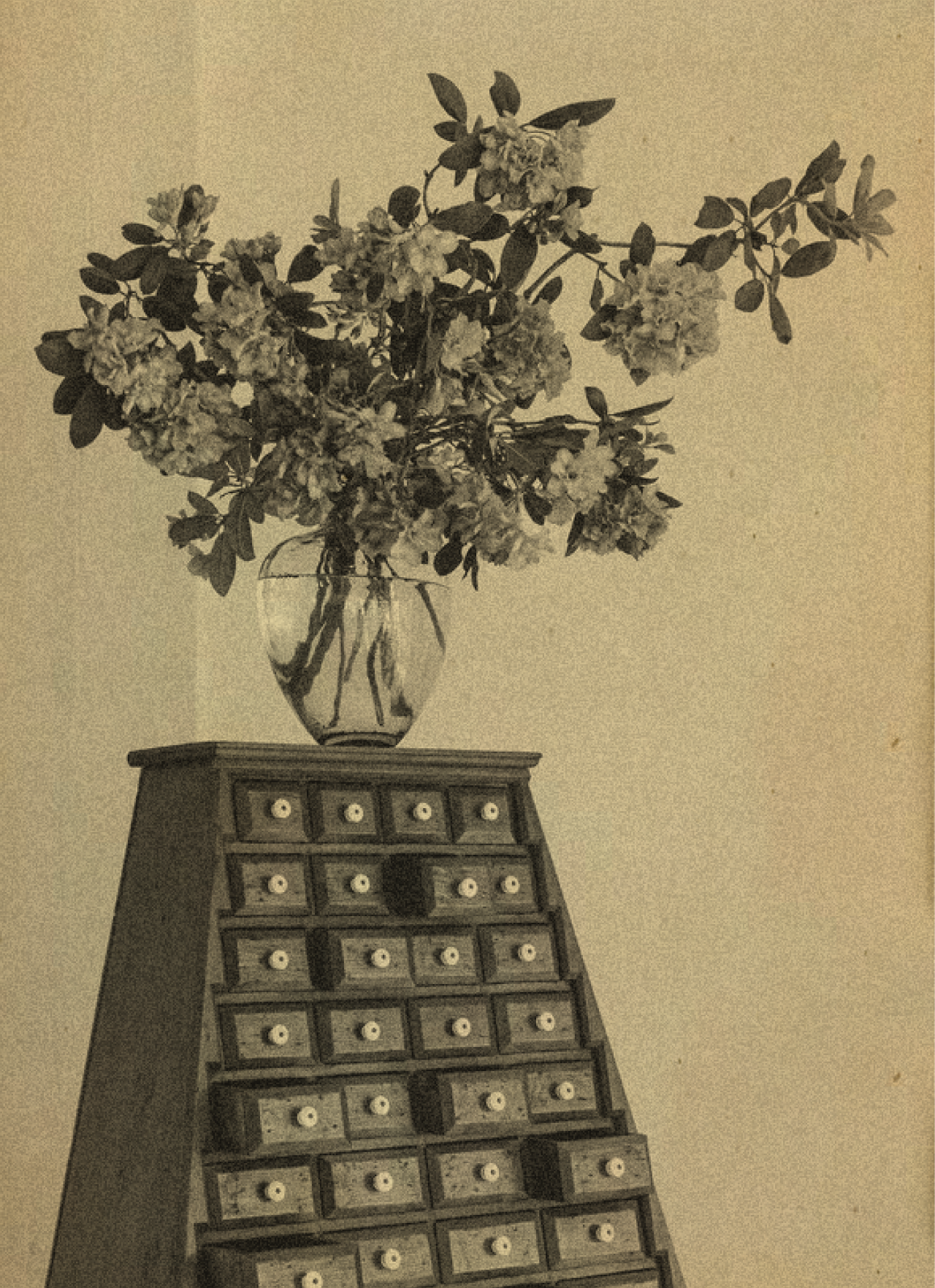 ROUSSILLON雍熙榮-59