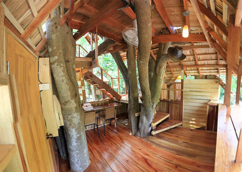 两层树屋（Treehouse）-9