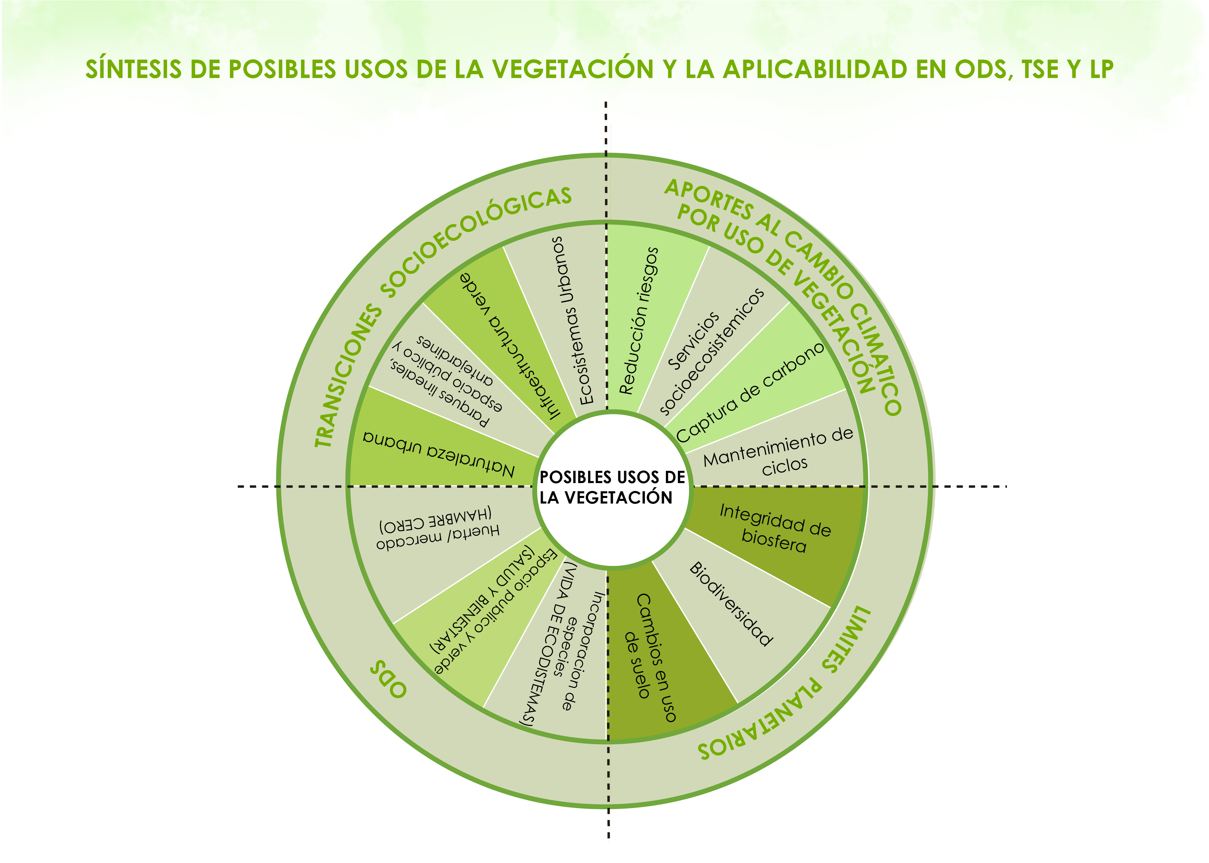 植物建筑学作品集-11