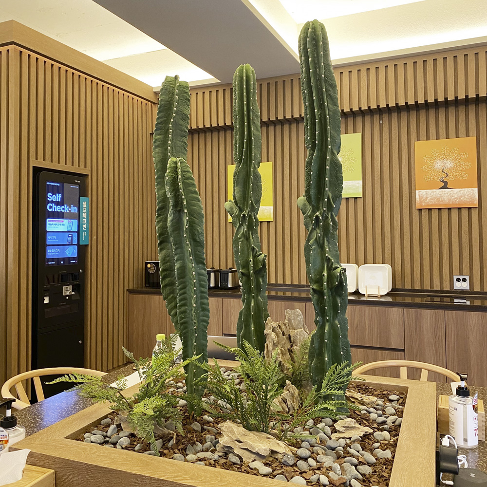 简约酒店设计典范 | 白色木纹诠释温馨空间-17