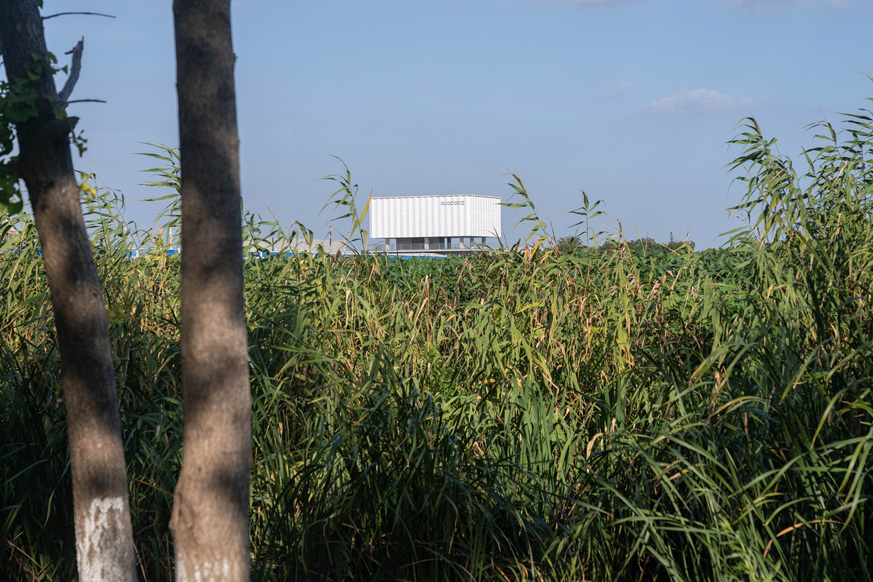 格物智能汽车总部丨中国苏州丨巢羽设计事务所-18