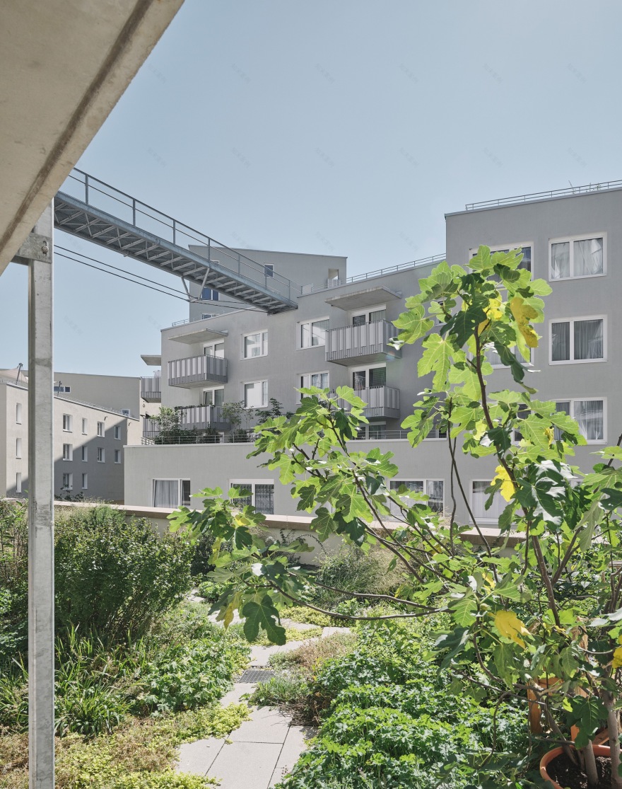 因斯布鲁克乡村丨奥地利丨bogenfeld Architektur-42