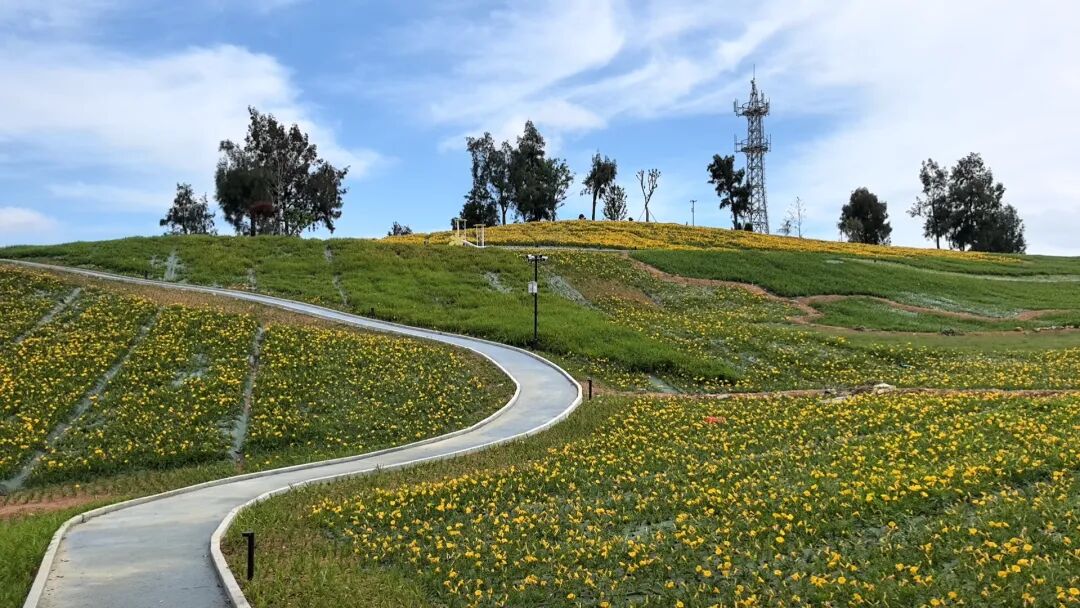 原舍岛屿系列｜躺平看海，把焦虑丢进太平洋。-27