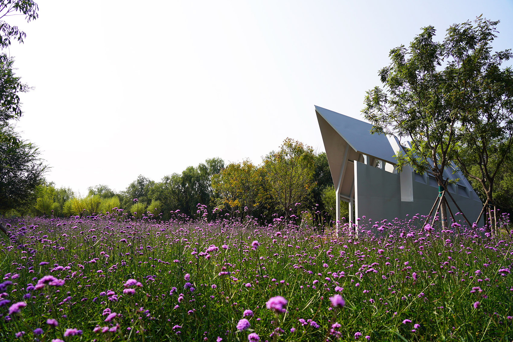 奥北森林公园二期景观及景观建筑系列丨中国北京丨北京北林地景园林规划设计院有限责任公司,北林风景建筑研究中心-170