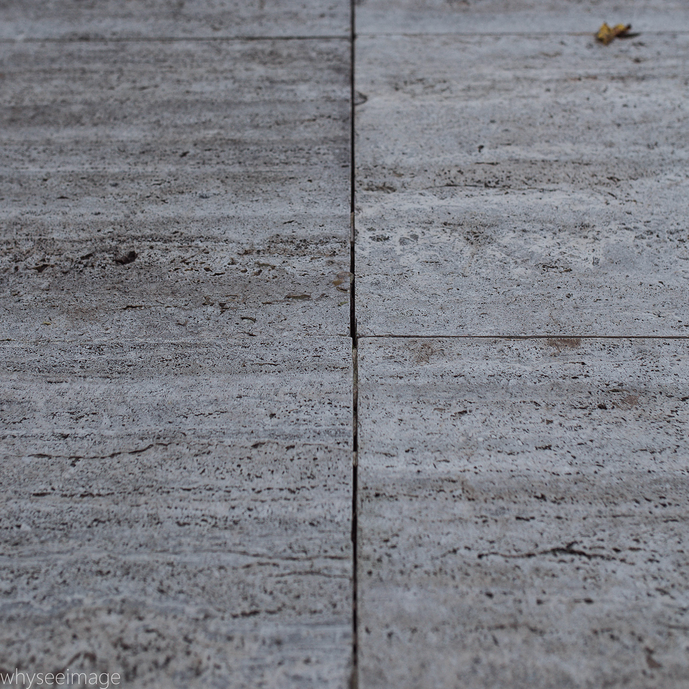 法恩斯沃思住宅-17